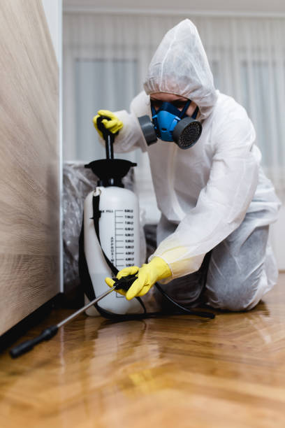 Best Fumigation Services  in Boyce, LA